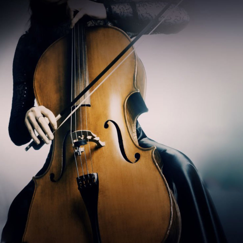 Lamour Double Bass -  LDB-4/4