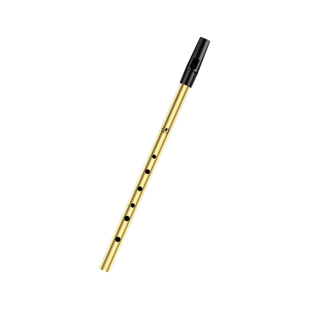 Lamour Penny Whistle LPW - D Key - Steel LPW-G