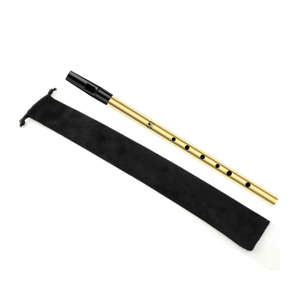 Lamour Penny Whistle LPW - D Key - Steel LPW-G
