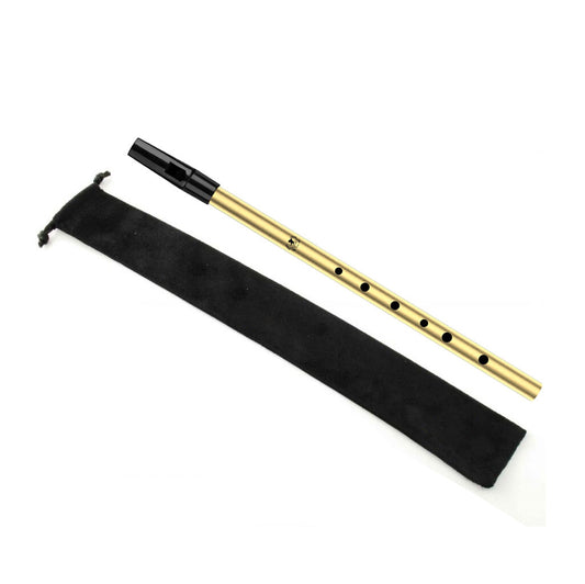 Lamour Penny Whistle LPW - D Key - Steel LPW-G