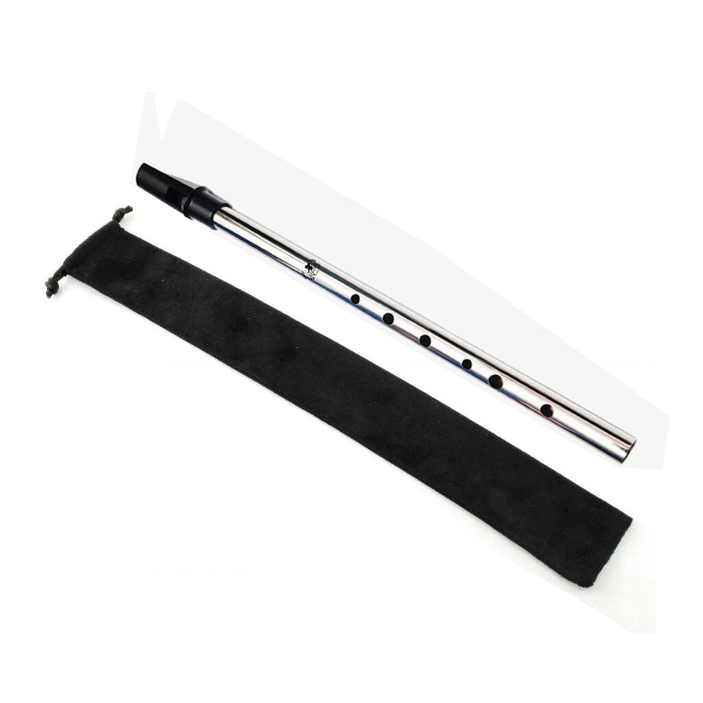 Lamour Penny Whistle LPW -  D Key - Steel LPW-S