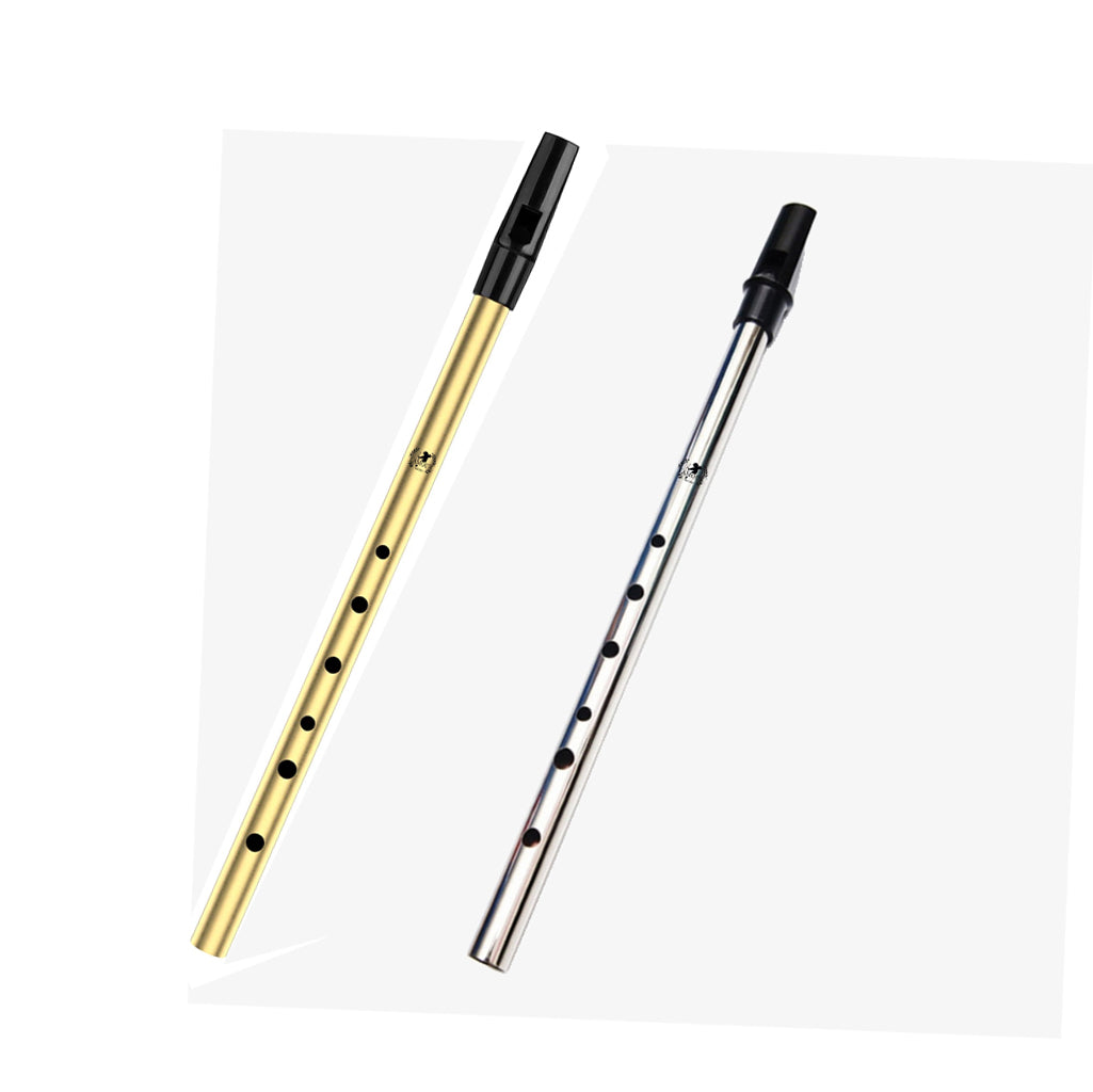 Lamour Penny Whistle LPW -  D Key - Steel LPW-S