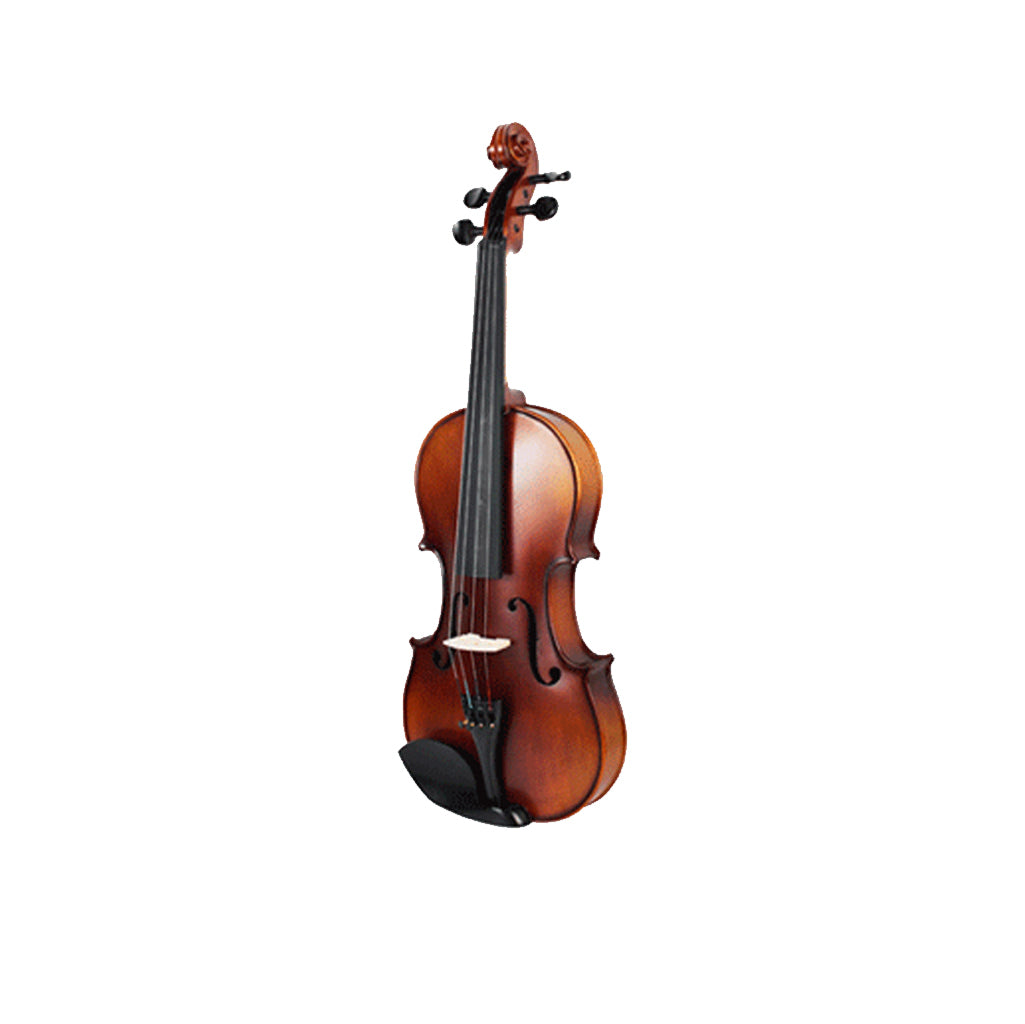 Lamour Viola Outfit W/Case Combo LVF-4/4