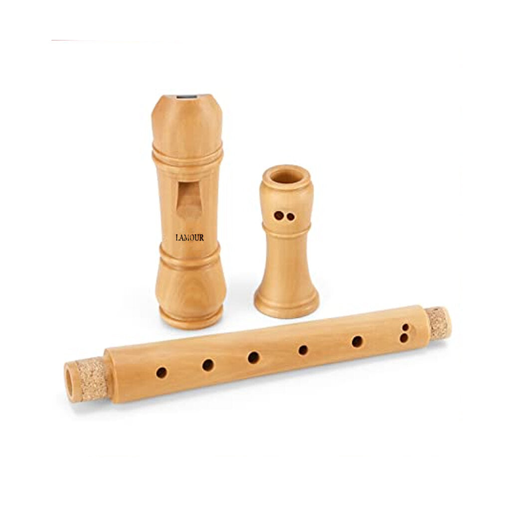 Lamour Recorder LWR