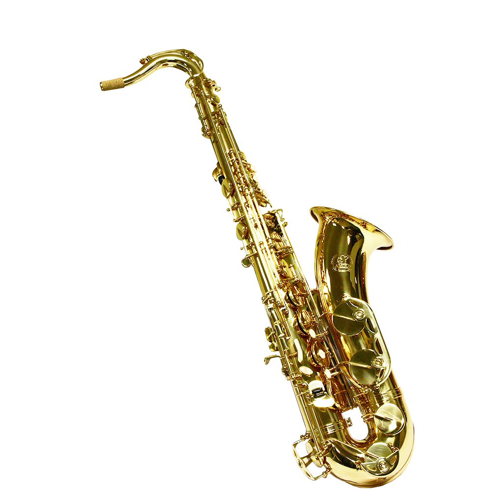 Lamour Alto Saxophone LAS-105A