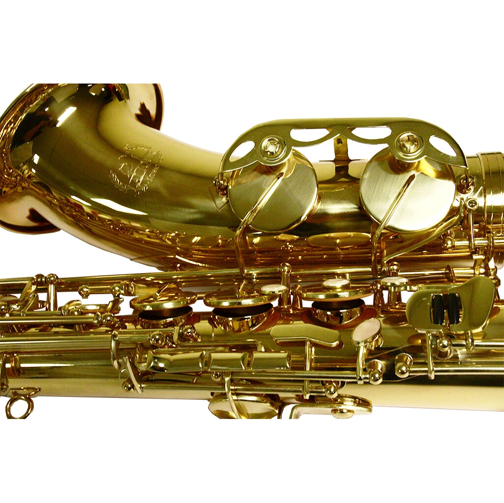 Lamour Alto Saxophone LAS-105A