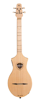 Seagull Merlin Acoustic Folk Guitar PS3009