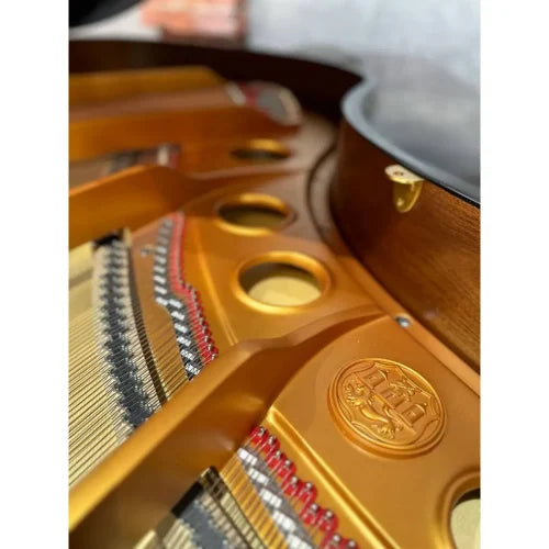 Ritmüller Grand Ebony Polish