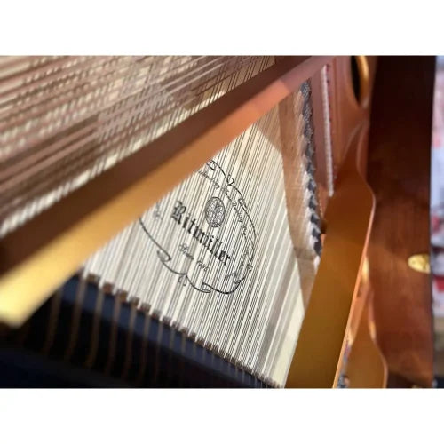 Ritmüller Grand Ebony Polish